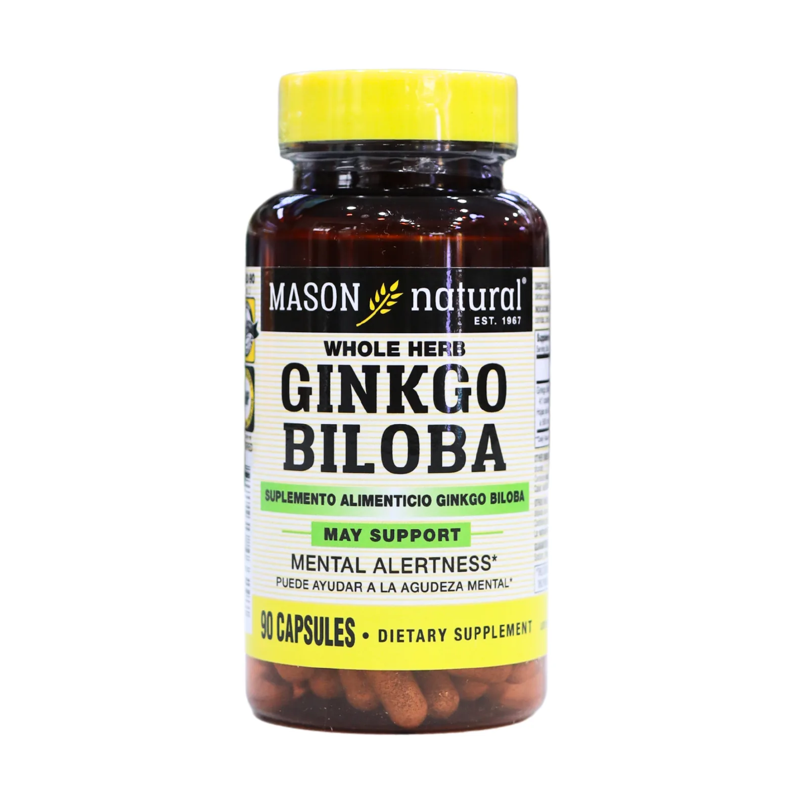 Presentación de GINKGO BILOBA 500MG – MASON